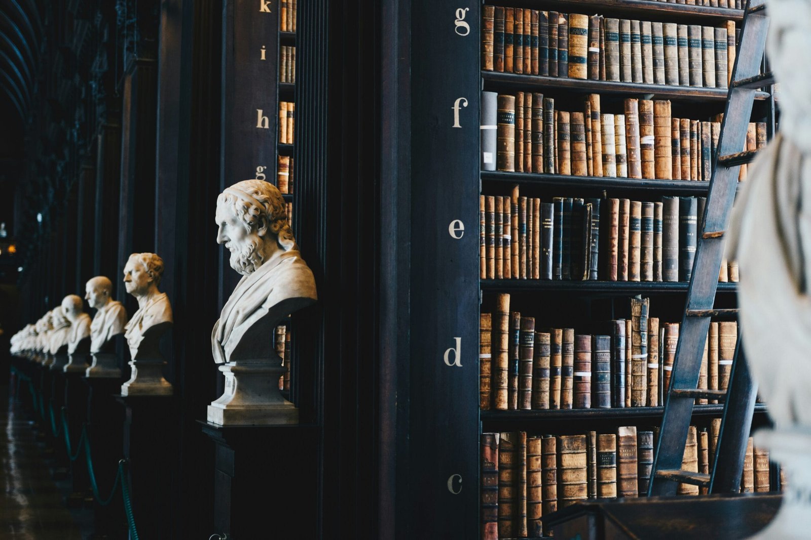 Interior of a grand old library with rows of marble busts on pedestals lining a long hall, alongside tall wooden shelves filled with antique leather-bound books and a rolling ladder.
