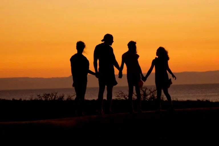 Silhouette of a family of four holding hands in a row against a vivid orange sunset sky, with the ocean and distant coastline in the background.